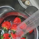 성환농장 이미지