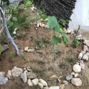 승미슈퍼 이미지