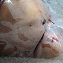 늘푸른흑염소3농장 이미지