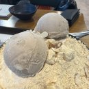 더 아이스크림 | [설빙 메뉴 추천] 인절미 빙수보다 2배 더 진한 '인절미 아이스크림 설빙' 솔직 후기