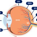 이룸기구필라테스 - 서대문구 영천시장길 68 | 이룸기구필라테스