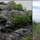 고헌농장 이미지