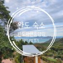 [숙소 : 완도] 바다와 숲이 보이는 숙소 :: 완도자연휴양림(feat. 다정큼나무방)