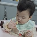 천도체육관 | 아기에서 작은사람이 되어가는 9개월 육아일기