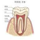 예스안치과의원 네이버블로그