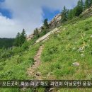 공원마트 이미지