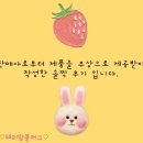 행복수예 이미지