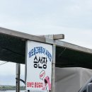 제주인투어 | 제주 하모돌고래투어 돌고래 없는 보트투어 후기