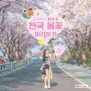 해미-비상-2 | 국내 봄 여행지 베스트 10 가족여행지 확인하기