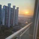 2025년 9월 중 대전 관저동 아파트 시장의 현황과 전망 이미지