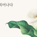 나의 첫 에세이 이미지