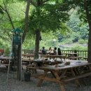 산돼지마을 이미지