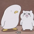 종배 이미지