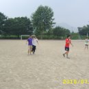 학하초교 이미지