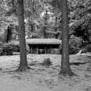 백석농장 이미지