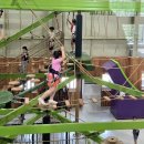 영천곤충 | 영천 보현산자연휴양림 | 단돈 3만원의 독채 숙소 《숲속의집 18호》 바베큐 가능한 국내 최저가 숙소...