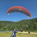 남해패러글라이딩 | 5/30. 단양여행 ㅡ [패러이야기]에서 패러글라이딩 체험한 후기😎👍