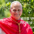 2026년 제11차 피조물 보호를 위한 기도의 날 담화 이미지