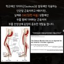 김나시온