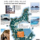 솔향기약국 이미지