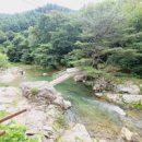 포시즌밸리계곡애견펜션 이미지