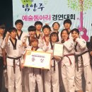 리틀K타이거즈 태권도장 이미지