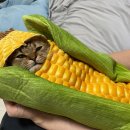 공장 신축공사 이미지