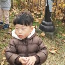 초록공원 농구장 이미지