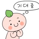 화서역공인중개사사무소 이미지