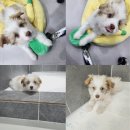 인동43길-4 이미지