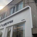 퍼피루스 이미지