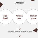 고위드테일 이미지