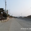 77카센타 이미지