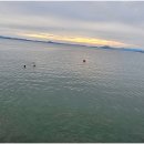 쏠레비치온수풀수영장 이미지