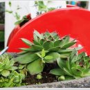 예쁜집펜션 이미지