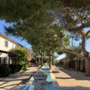 불암버스정류장 | [스페인 혼자여행] 스페인 10박 12일(마요르카 숙소, 마요르카 소예르, 소예르 광장, 소예르 맛집...