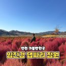 중면사무소 | 연천 가볼만한곳 임진강 댑싸리공원 정원 물억새 군락