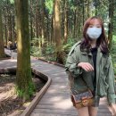 미니짐 | 루이비통 미니도핀 악취 교환 후기#1(심의 보내짐,,)