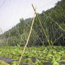 뒤뜰농장 이미지