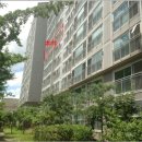 연제구-107 네이버블로그