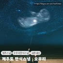 제주도 태교여행 오우리 만삭스냅 가격 정보 내돈내산 후기