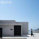 테라키아 이미지