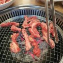 황소야돼지야