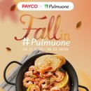 풀무원_PAYCO