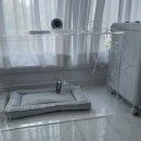 씨엔비헬스케어 이미지