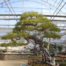 영양산촌박물관 이미지