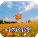 영산강서창들녘억새길 | 영산강의 노을 감성 스팟~광주 서창감성전망대