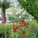 평강휴게소식당 이미지