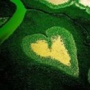 사랑이네 이미지