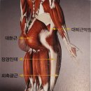 코코짐 이미지